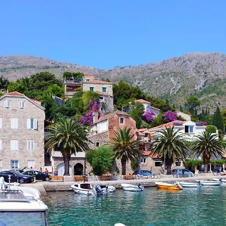 Andrea With Private Pool & Jet Pool Near Dubrovnik ヴィラ Ivanica